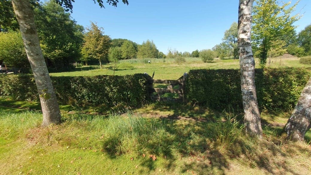 Dominique van de Kamp